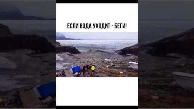 Цунами Если вода уходит, бегите Цунами Если вода уходит, бегите