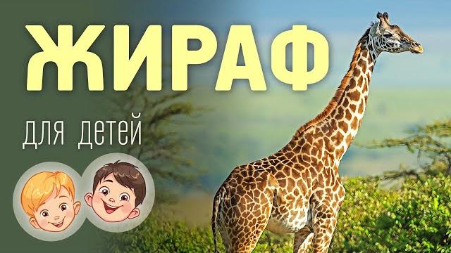 Жираф. Видео про животных для детей 3+ Жираф. Видео про животных для детей 3+