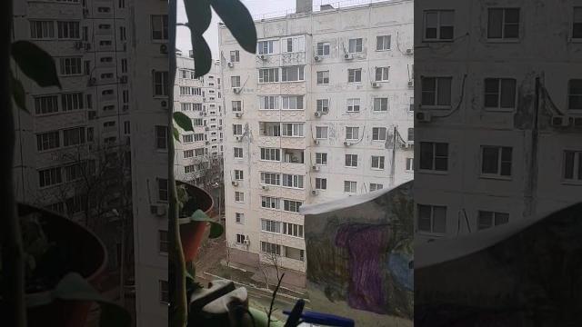 Погода в Астрахани Погода в Астрахани