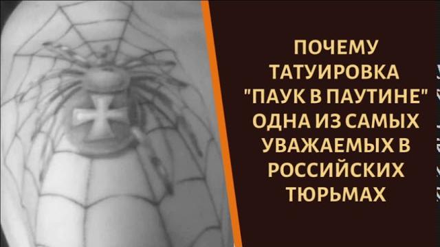 Что означает на зоне татуировка "Паук в паутине" Что означает на зоне татуировка "Паук в паутине"