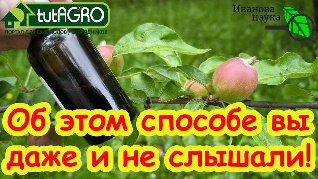 ЗА 1 РУБЛЬ ОБРАБОТАЛ ВСЁ! Тля сдохла, муравьи и слизни ушли к соседям, белокрылка улетела прочь. ЗА 1 РУБЛЬ ОБРАБОТАЛ ВСЁ! Тля сдохла, муравьи и слизни ушли к соседям, белокрылка улетела прочь.