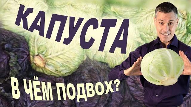 КАПУСТА: раскрываем тайны самого полезного продукта КАПУСТА: раскрываем тайны самого полезного продукта