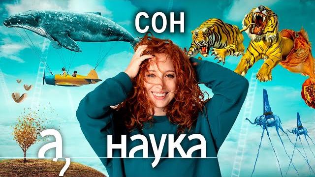 Мозг во время сна. Кошмары. Самый удобный матрас // Наука. А поговорить? Мозг во время сна. Кошмары. Самый удобный матрас // Наука. А поговорить?