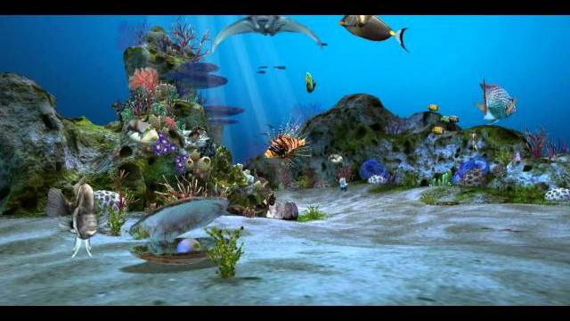 Amazingly Beautiful 3D Aquarium Live Wallpaper Wallpaper Amazingly Beautiful 3D Aquarium Live Wallpaper Wallpaper