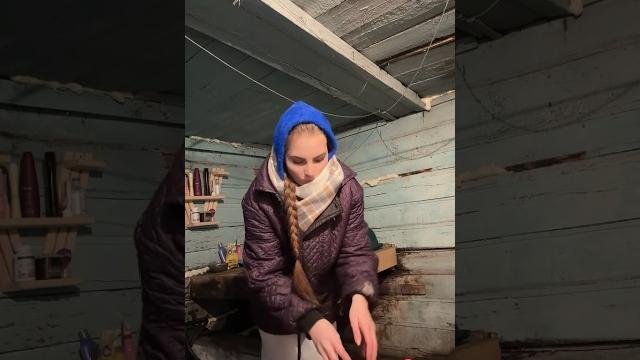 У собак и мясо и корм У собак и мясо и корм
