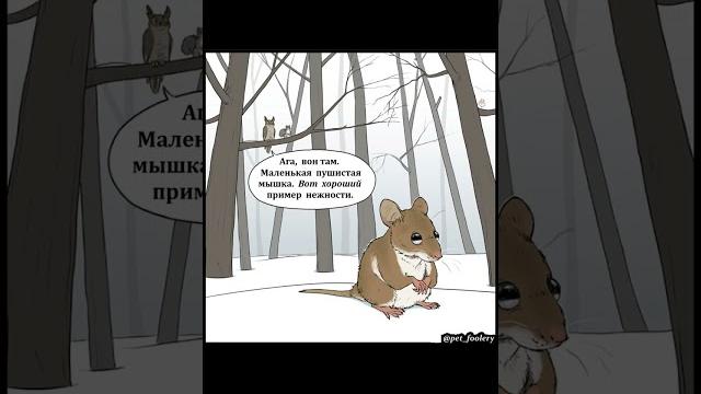Комикс - Сова и Белка ищут нежность Комикс - Сова и Белка ищут нежность