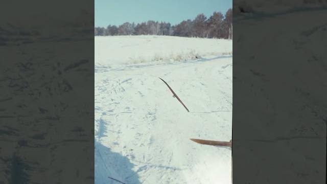 ТОРМОЗ НА ЛЫЖАХ ТОРМОЗ НА ЛЫЖАХ