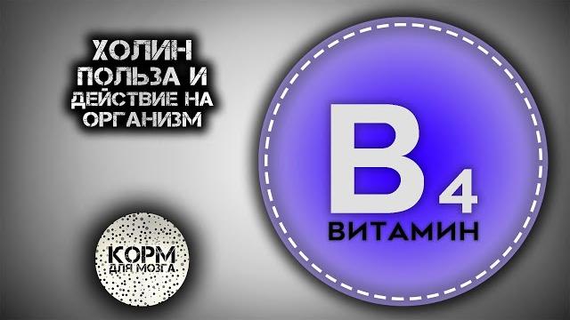 Холин (Витамин B4). Польза и действие на организм. Холин (Витамин B4). Польза и действие на организм.