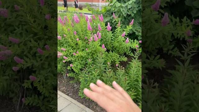 Набережная Казани #алтан #жизнь Набережная Казани #алтан #жизнь