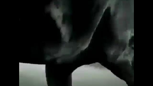 лошадь с музыкой лошадь с музыкой