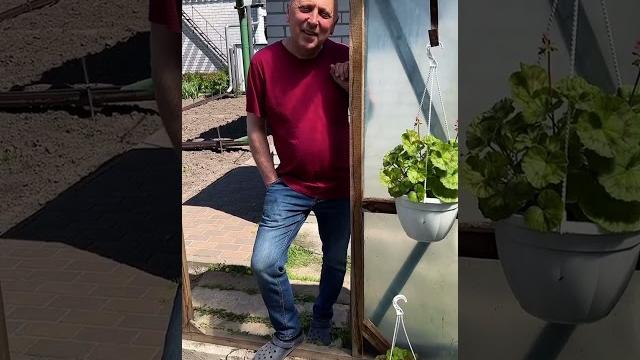 Любопытный сосед Любопытный сосед