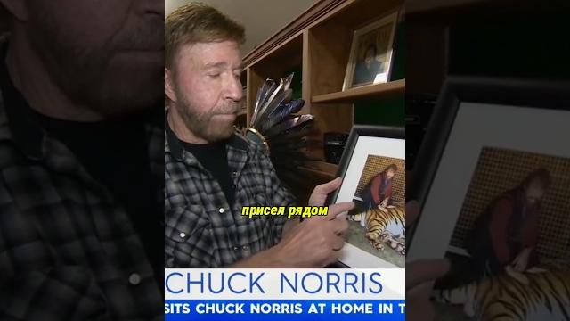 Чак Норрис рассказал шутку про тигра Чак Норрис рассказал шутку про тигра