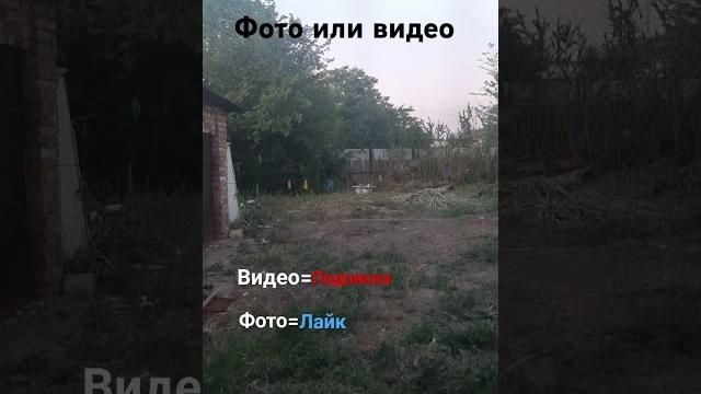 #видео #фото #хочувреки #cute #видео #фото #хочувреки #cute