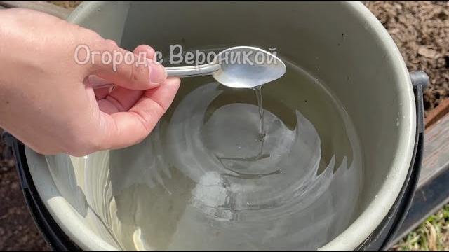 Сорняки исчезают за 1 минуту навсегда! Простой безопасный способ избавления от сорняков Сорняки исчезают за 1 минуту навсегда! Простой безопасный способ избавления от сорняков