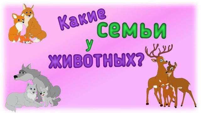 Дикие животные и их "семьи". Дикие животные и их "семьи".