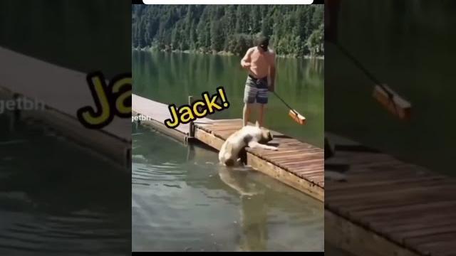 Когда не поняли друг друга... #shorts #приколы Когда не поняли друг друга... #shorts #приколы