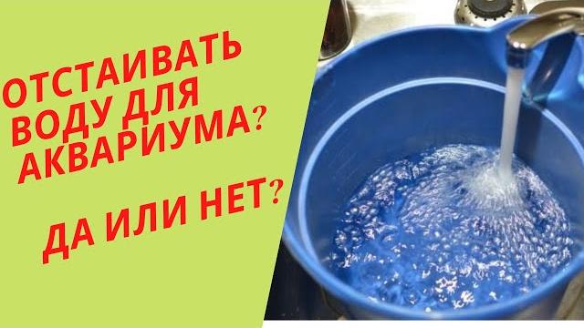 Отстаивать воду для аквариума? да или нет ? Отстаивать воду для аквариума? да или нет ?