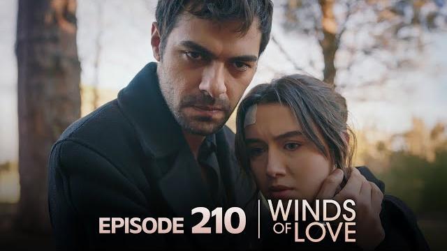 Rüzgarlı Tepe 210. Bölüm | Winds of Love Episode 210 Rüzgarlı Tepe 210. Bölüm | Winds of Love Episode 210