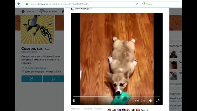 Как скачать видео с Твиттера (самый простой способ) Как скачать видео с Твиттера (самый простой способ)
