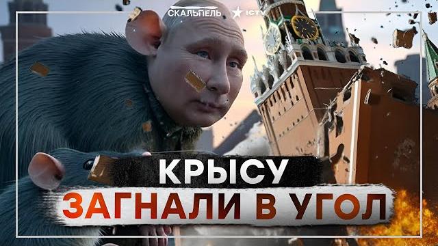 "Засуньте себе в ..." Соловьев ОШАРАШИЛ россиян Жесткий ТРЕШ на ПОБЕДОБЕСИИ..| СКАЛЬПЕЛЬ Аналитика "Засуньте себе в ..." Соловьев ОШАРАШИЛ россиян Жесткий ТРЕШ на ПОБЕДОБЕСИИ..| СКАЛЬПЕЛЬ Аналитика