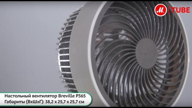 Обзор настольного вентилятора Breville P365 Обзор настольного вентилятора Breville P365