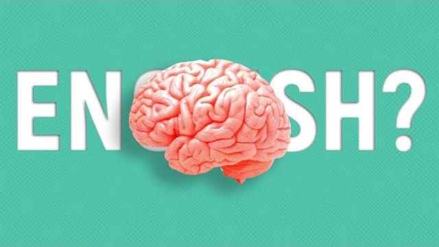 КАК ИЗМЕНЯЕТСЯ ВАШ МОЗГ ПРИ ИЗУЧЕНИИ ЯЗЫКОВ КАК ИЗМЕНЯЕТСЯ ВАШ МОЗГ ПРИ ИЗУЧЕНИИ ЯЗЫКОВ