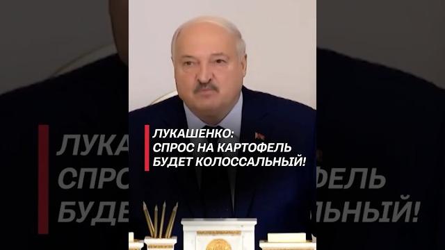 Лукашенко: Спрос на картофель будет колоссальный! #беларусь #лукашенко #президент #батька #первый Лукашенко: Спрос на картофель будет колоссальный! #беларусь #лукашенко #президент #батька #первый