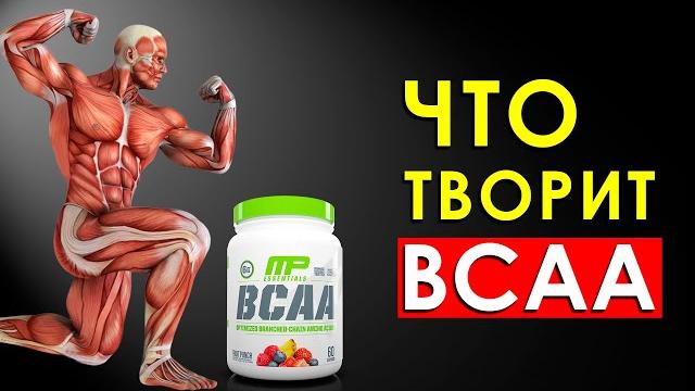 Что Произойдет с Телом, Если Принимать BCAA (БЦАА)? Что Произойдет с Телом, Если Принимать BCAA (БЦАА)?