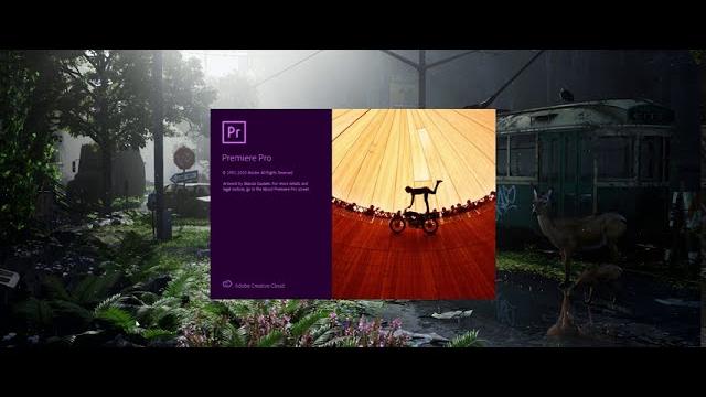 Стабилизация видео в Premiere Pro Стабилизация видео в Premiere Pro