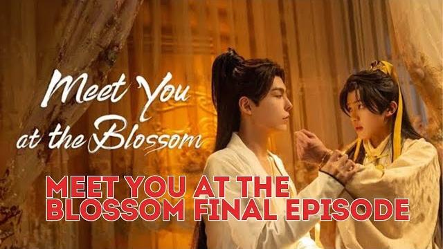 Meet you at the blossom Meet you at the blossom