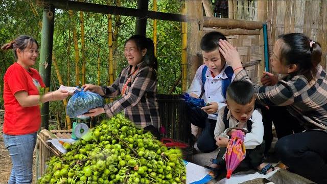 Single mother picks wild fruits to sell to earn money for her 2 sons to go to school.DANG THI DU Single mother picks wild fruits to sell to earn money for her 2 sons to go to school.DANG THI DU