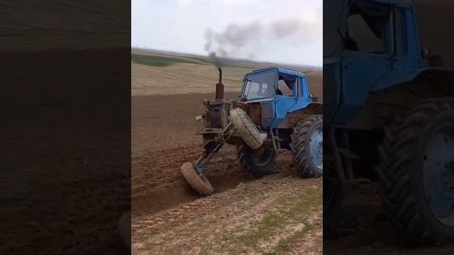 Mtz traktor Mtz traktor