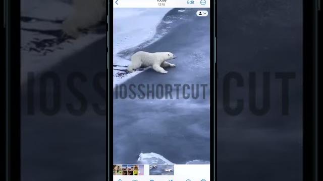 R⤓Download (iOSshortcut) R⤓Download (iOSshortcut)