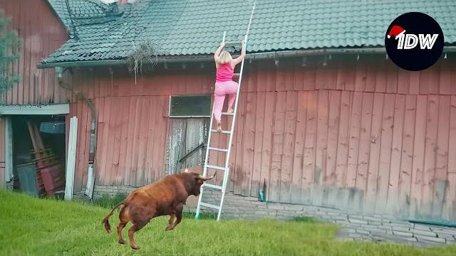 TOTAL IDIOTS AT WORK #208 | Bad day at work | Fails of the week | Instant regret compilation 2024 TOTAL IDIOTS AT WORK #208 | Bad day at work | Fails of the week | Instant regret compilation 2024