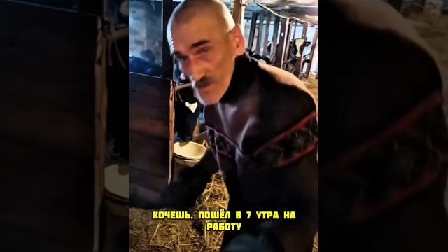 Свобода-это все Согласны? #юмор#сельхозтехника Свобода-это все Согласны? #юмор#сельхозтехника