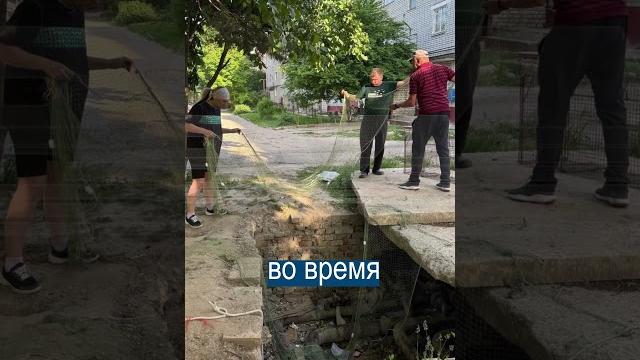 Собака 3 Года Прожила Под Землёй Собака 3 Года Прожила Под Землёй