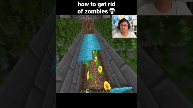 Minecraft Zombie Moment Minecraft Zombie Moment