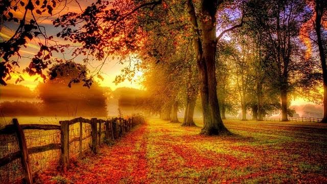 Фредерик Шопен НОКТЮРН до-диез минор - Frederic Chopin NOCTURNE C-sharp minor (cis-moll) Фредерик Шопен НОКТЮРН до-диез минор - Frederic Chopin NOCTURNE C-sharp minor (cis-moll)