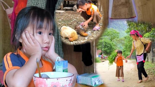 Bong and her mother's life became more difficult when the chickens on the farm got sick. Bong and her mother's life became more difficult when the chickens on the farm got sick.