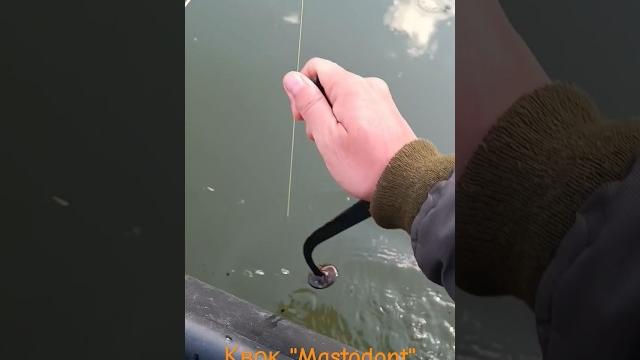 #КВОК #Mastodont - подъёмы сома на квок / #Dalkefishing #КВОК #Mastodont - подъёмы сома на квок / #Dalkefishing