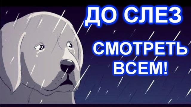 Очень грустная история! Смотреть всем! До слез... Очень грустная история! Смотреть всем! До слез...