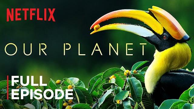 Our Planet | Forests | FULL EPISODE | Netflix Our Planet | Forests | FULL EPISODE | Netflix