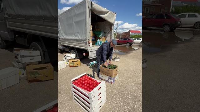 Помидоры из Грозного / ГАРДЕЙ И ИВАНЫЧ #волгоград #рек #помидоры #грозный #дед #artist #art Помидоры из Грозного / ГАРДЕЙ И ИВАНЫЧ #волгоград #рек #помидоры #грозный #дед #artist #art