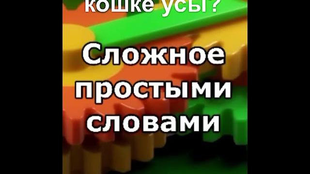 Для чего кошке нужны усы? Для чего кошке нужны усы?