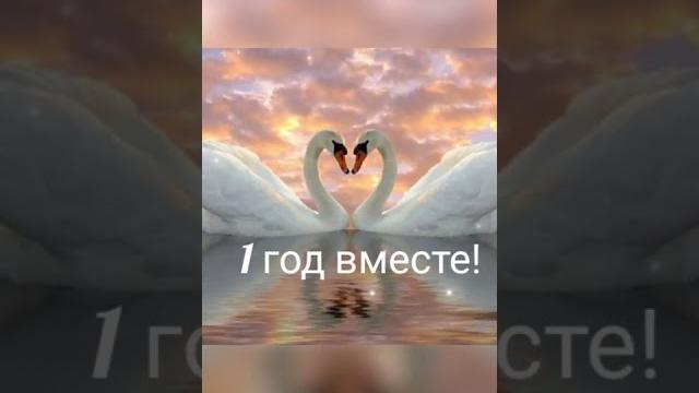 1 год свадьбы! 1 год свадьбы!