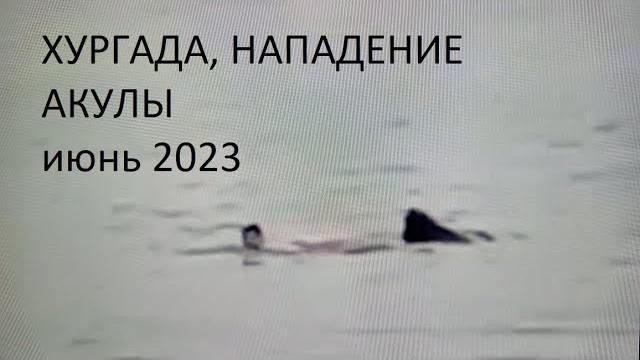 ХУРГАДА. НАПАДЕНИЕ акулы июнь 2023. ХУРГАДА. НАПАДЕНИЕ акулы июнь 2023.