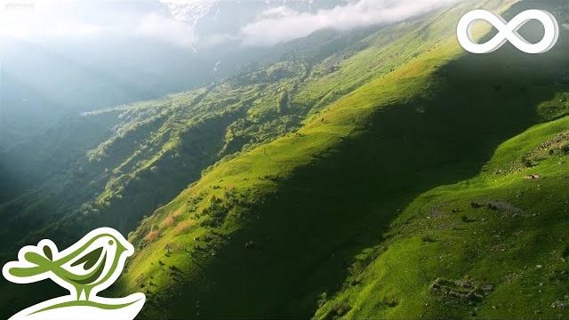 The Hidden Valley: Расслабляющая Эмбиент-музыка для Снятия Стресса, Сна и Медитации The Hidden Valley: Расслабляющая Эмбиент-музыка для Снятия Стресса, Сна и Медитации
