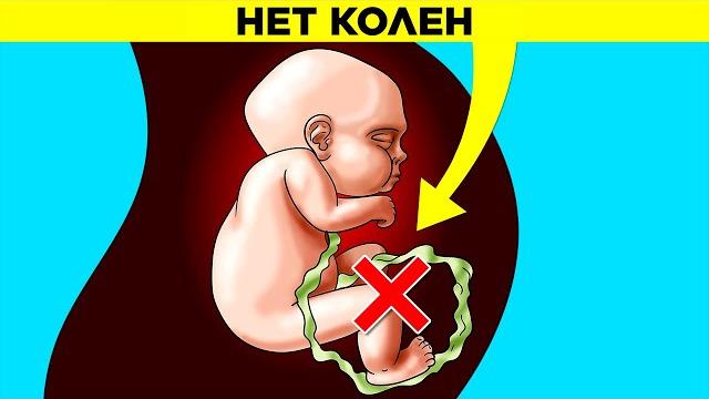 20 Фактов, Которые Вы Не Знали 5 Минут Назад 20 Фактов, Которые Вы Не Знали 5 Минут Назад