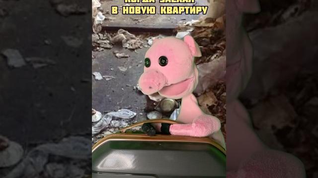 Что за СВИНЬИ здесь жили ? ТГ:КАМЫШНИКОВЫ Что за СВИНЬИ здесь жили ? ТГ:КАМЫШНИКОВЫ