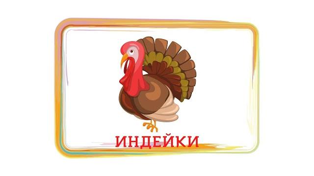 ИНДЮКИ. КОРОТКИЕ ИСТОРИИ ДЛЯ МАЛЫШЕЙ. РАЗВИТИЕ РЕЧИ МАЛЫША ОТ 1 ГОДА И 2 ЛЕТ МУЛЬТФИЛЬМЫ ДЛЯ МАЛЫШЕЙ ИНДЮКИ. КОРОТКИЕ ИСТОРИИ ДЛЯ МАЛЫШЕЙ. РАЗВИТИЕ РЕЧИ МАЛЫША ОТ 1 ГОДА И 2 ЛЕТ МУЛЬТФИЛЬМЫ ДЛЯ МАЛЫШЕЙ